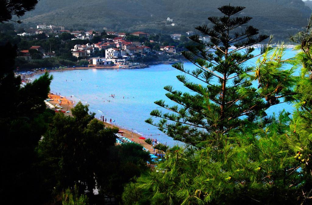 Villa Laura Sea View Apartments Santa Maria di Castellabate Ngoại thất bức ảnh