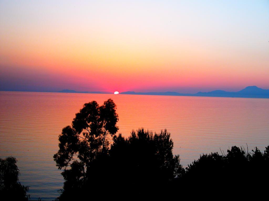 Villa Laura Sea View Apartments Santa Maria di Castellabate Ngoại thất bức ảnh