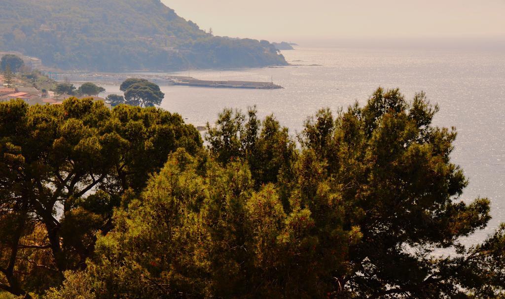 Villa Laura Sea View Apartments Santa Maria di Castellabate Ngoại thất bức ảnh